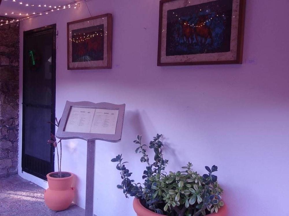 Casa De Las Conservas Comfort San Miguel de Allende Ngoại thất bức ảnh
