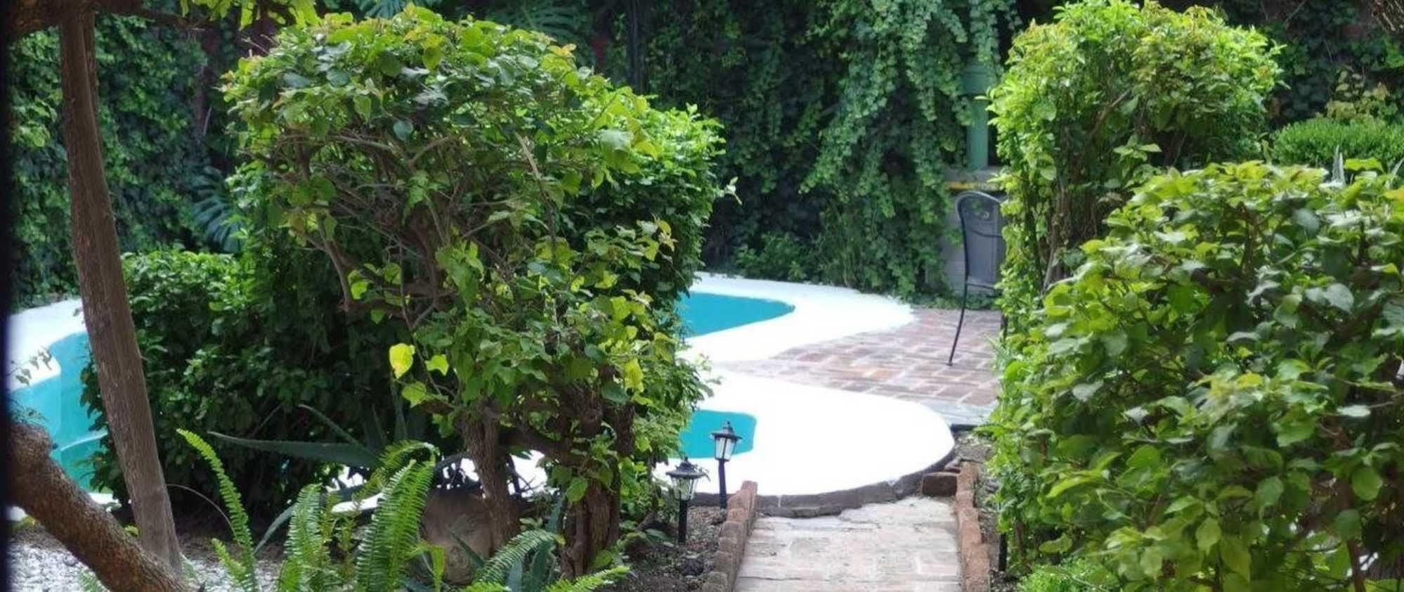 Casa De Las Conservas Comfort San Miguel de Allende Ngoại thất bức ảnh
