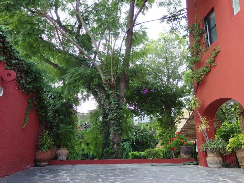 Casa De Las Conservas Comfort San Miguel de Allende Ngoại thất bức ảnh